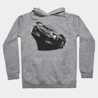 Obsidian Hoodie